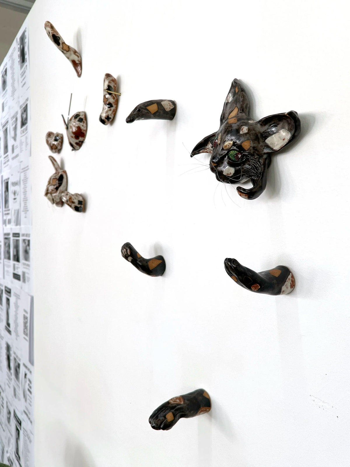 TOXOPLASMOSIS